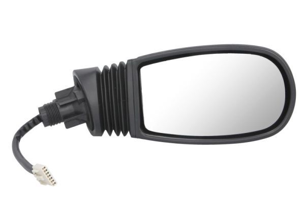 BLIC 5402-04-1131329 Exterior Mirror