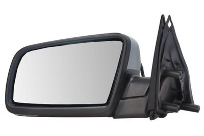 Exterior Mirror BLIC 5402-04-1131825
