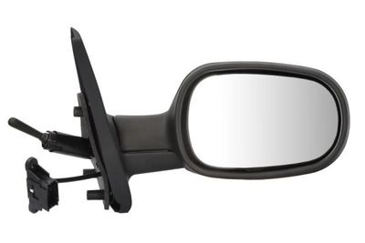 Exterior Mirror BLIC 5402-04-1132219P