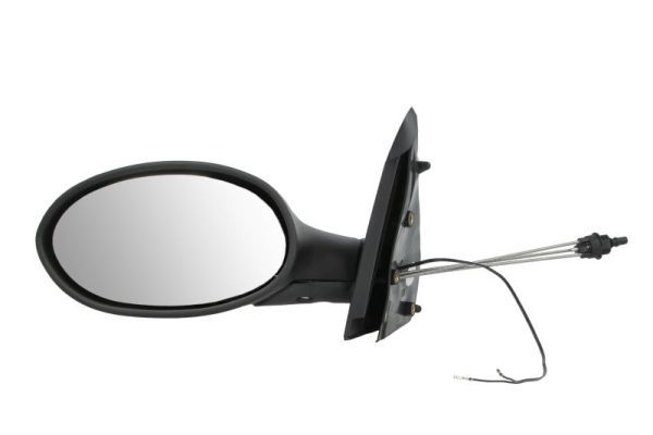 BLIC 5402-04-1133282 Exterior Mirror