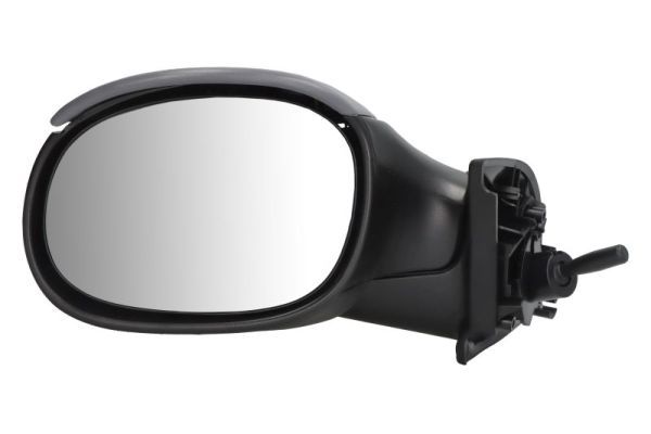 BLIC 5402-04-1137851 Exterior Mirror