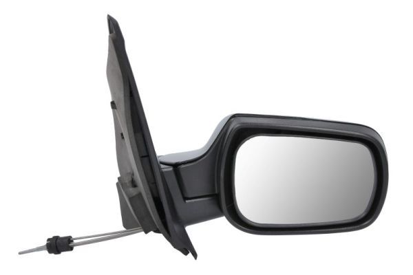 BLIC 5402-04-1138387 Exterior Mirror