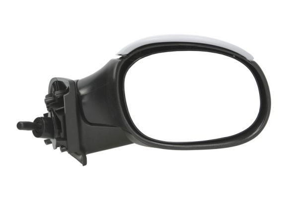 BLIC 5402-04-1138851 Exterior Mirror