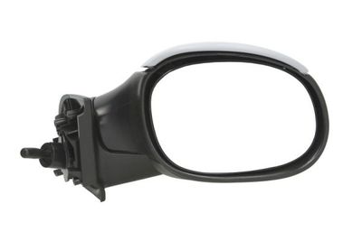 Exterior Mirror BLIC 5402-04-1138851