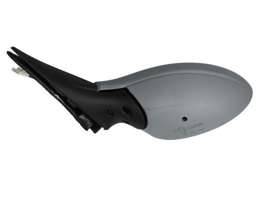 BLIC 5402-04-1139273 Exterior Mirror