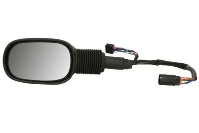 Exterior Mirror BLIC 5402-04-1139380