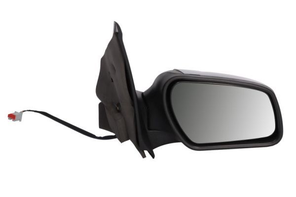 BLIC 5402-04-1139393 Exterior Mirror
