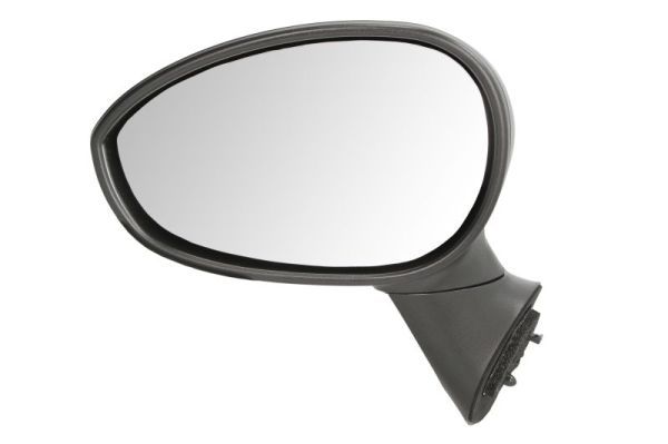 BLIC 5402-04-1139933 Exterior Mirror
