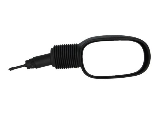BLIC 5402-04-1193382P Exterior Mirror