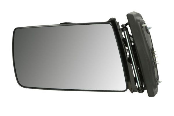 BLIC 5402-04-1321529 Exterior Mirror