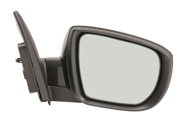 BLIC 5402-04-1502200P Exterior Mirror