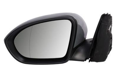 Exterior Mirror BLIC 5402-04-1785310P