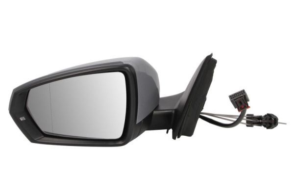 BLIC 5402-04-1984365P Exterior Mirror