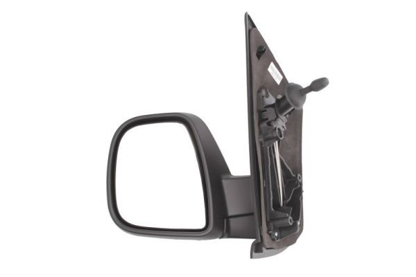 BLIC 5402-04-2103391P Exterior Mirror