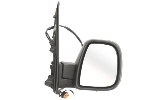 BLIC 5402-04-2103396P Exterior Mirror