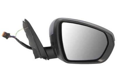 Exterior Mirror BLIC 5402-04-2304313P