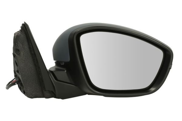 BLIC 5402-04-2440311P Exterior Mirror