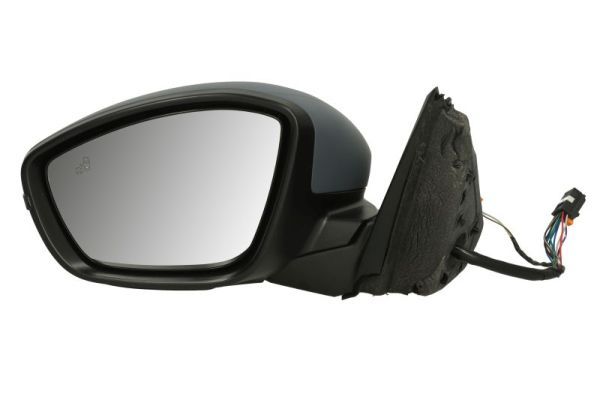 BLIC 5402-04-2440312P Exterior Mirror