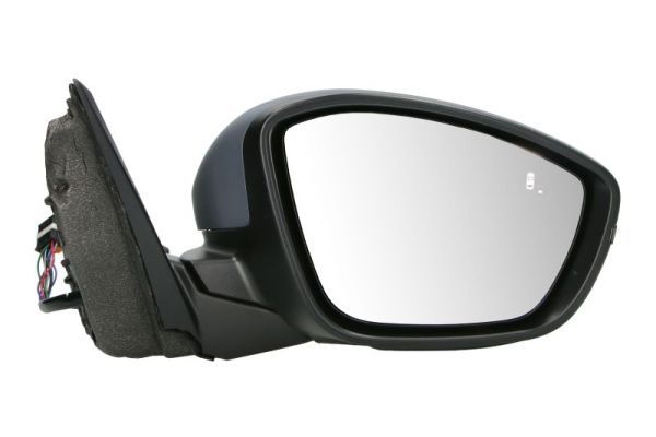 BLIC 5402-04-2440313P Exterior Mirror