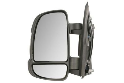 Exterior Mirror BLIC 5402-04-2579312P