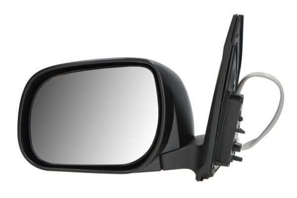 BLIC 5402-04-9929999P Exterior Mirror