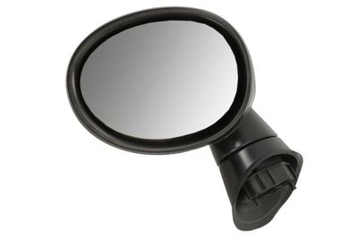 Exterior Mirror BLIC 5402-05-2184310P