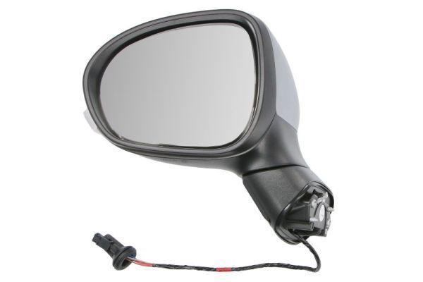 BLIC 5402-07-0302310P Exterior Mirror