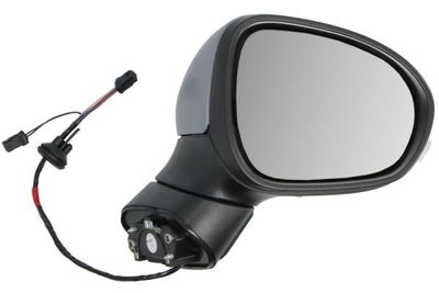 Exterior Mirror BLIC 5402-07-0302311P