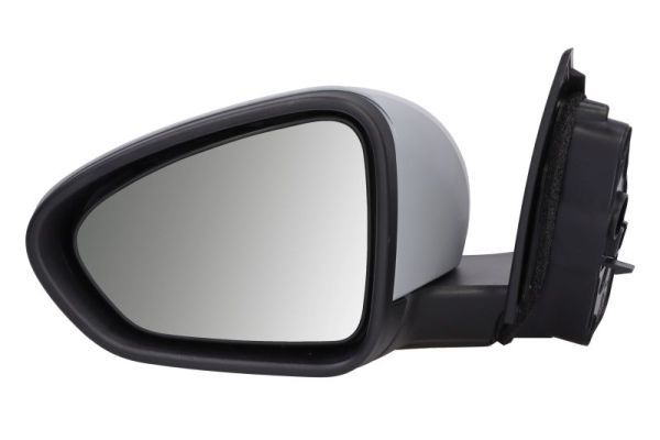 BLIC 5402-07-0354312P Exterior Mirror