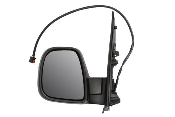 BLIC 5402-07-2491310P Exterior Mirror