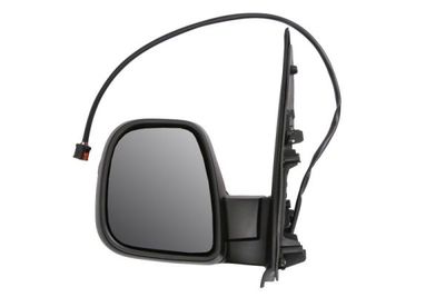 Exterior Mirror BLIC 5402-07-2491310P