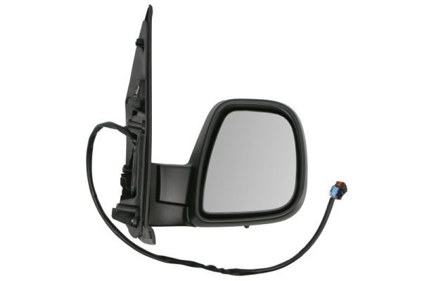 BLIC 5402-07-2491311P Exterior Mirror