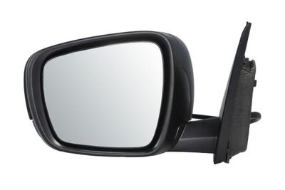 Exterior Mirror BLIC 5402-09-1208312P