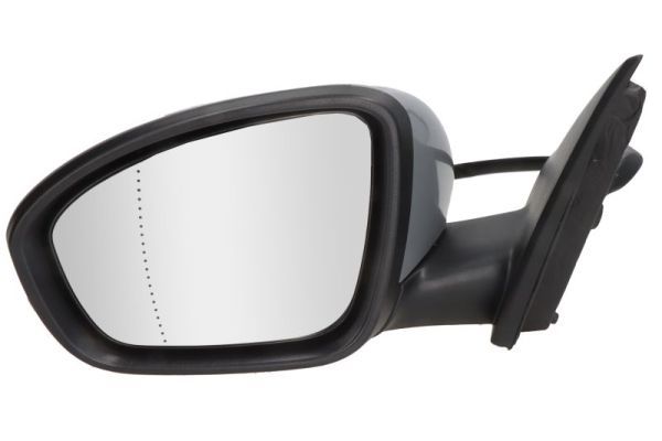 BLIC 5402-09-1231363P Exterior Mirror