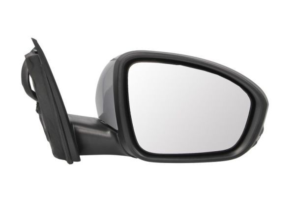 BLIC 5402-09-1231366P Exterior Mirror