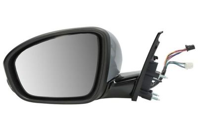 Exterior Mirror BLIC 5402-09-1243316P