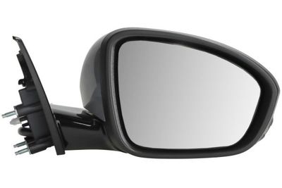 Exterior Mirror BLIC 5402-09-1243317P
