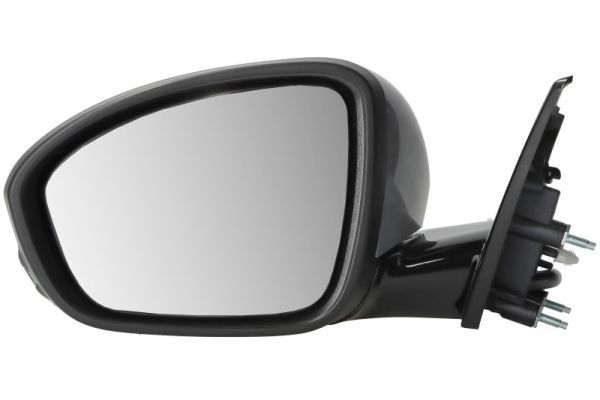 BLIC 5402-09-1243318P Exterior Mirror