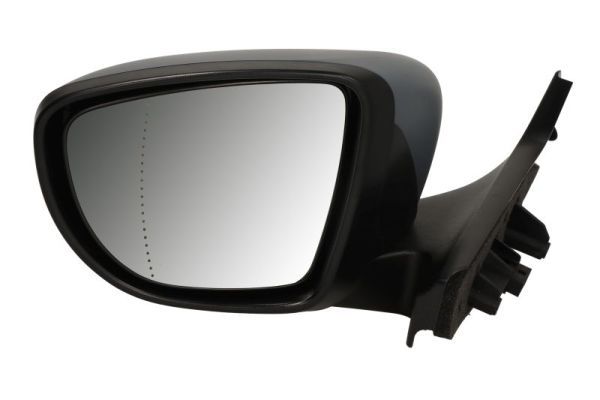 BLIC 5402-09-1256312P Exterior Mirror