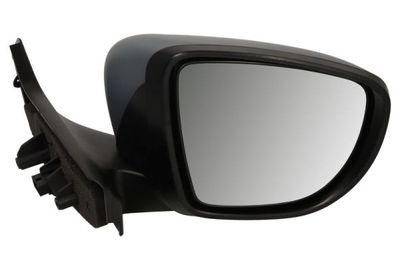 Exterior Mirror BLIC 5402-09-1256313P