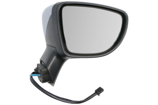 BLIC 5402-09-1922311P Exterior Mirror