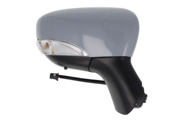 BLIC 5402-09-2002108P Exterior Mirror