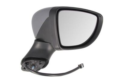 Exterior Mirror BLIC 5402-09-2002130P
