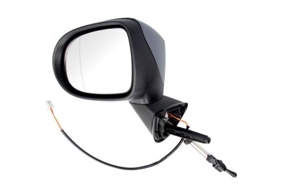 BLIC 5402-09-2002199P Exterior Mirror