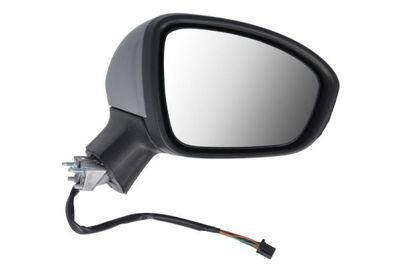 Exterior Mirror BLIC 5402-09-2313311P