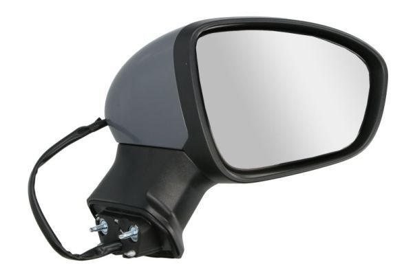 BLIC 5402-09-2345313P Exterior Mirror