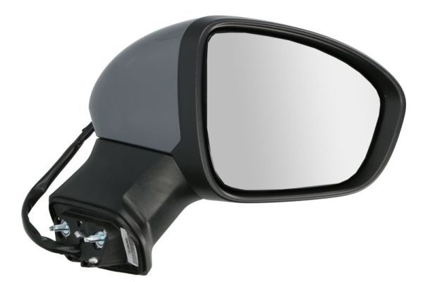 BLIC 5402-09-2345315P Exterior Mirror