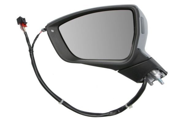 BLIC 5402-10-1281318P Exterior Mirror