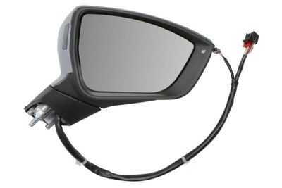 Exterior Mirror BLIC 5402-10-1281319P