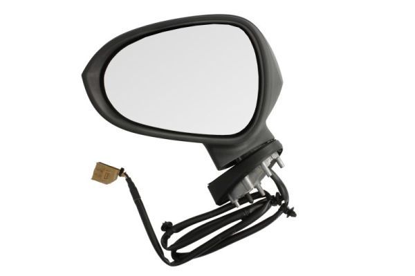 BLIC 5402-10-2002277P Exterior Mirror